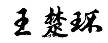 胡问遂王楚环行书个性签名怎么写