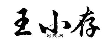 胡问遂王小存行书个性签名怎么写