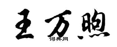 胡问遂王万煦行书个性签名怎么写
