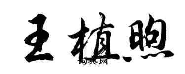 胡问遂王植煦行书个性签名怎么写