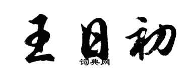 胡问遂王日初行书个性签名怎么写