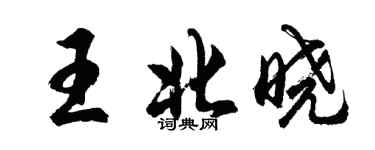 胡问遂王北晓行书个性签名怎么写