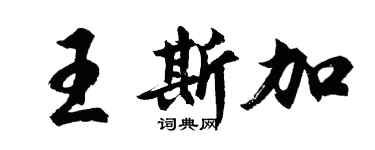 胡问遂王斯加行书个性签名怎么写
