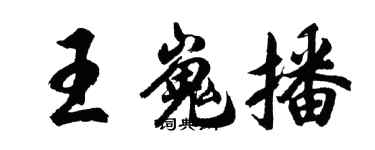 胡问遂王嵬播行书个性签名怎么写