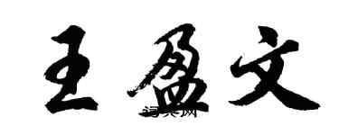 胡问遂王盈文行书个性签名怎么写