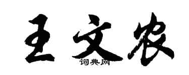 胡问遂王文农行书个性签名怎么写