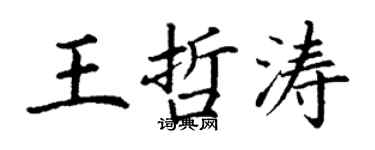 丁谦王哲涛楷书个性签名怎么写