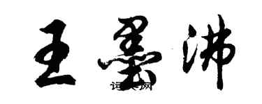 胡问遂王墨沸行书个性签名怎么写