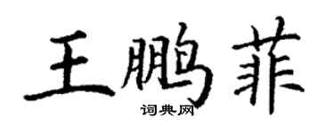 丁谦王鹏菲楷书个性签名怎么写