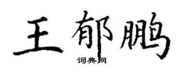 丁谦王郁鹏楷书个性签名怎么写