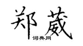 丁谦郑葳楷书个性签名怎么写