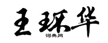 胡问遂王环华行书个性签名怎么写