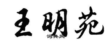 胡问遂王明苑行书个性签名怎么写