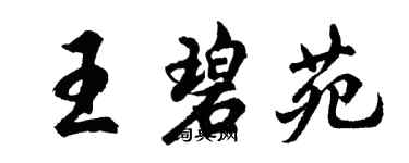 胡问遂王碧苑行书个性签名怎么写