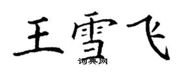 丁谦王雪飞楷书个性签名怎么写