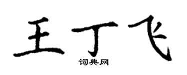 丁谦王丁飞楷书个性签名怎么写
