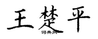 丁谦王楚平楷书个性签名怎么写