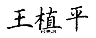 丁谦王植平楷书个性签名怎么写