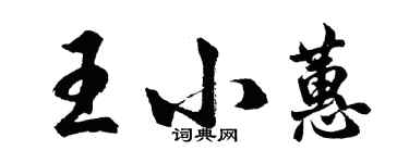 胡问遂王小蕙行书个性签名怎么写