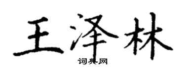 丁谦王泽林楷书个性签名怎么写