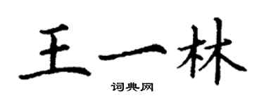 丁谦王一林楷书个性签名怎么写
