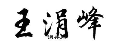 胡问遂王涓峰行书个性签名怎么写