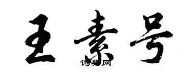 胡问遂王素号行书个性签名怎么写
