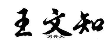 胡问遂王文知行书个性签名怎么写