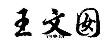 胡问遂王文囡行书个性签名怎么写