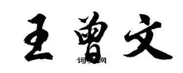 胡问遂王曾文行书个性签名怎么写