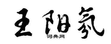 胡问遂王阳氛行书个性签名怎么写