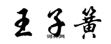 胡问遂王子簧行书个性签名怎么写