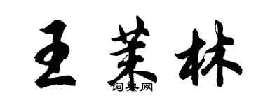 胡问遂王茉林行书个性签名怎么写