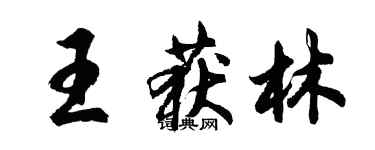 胡问遂王获林行书个性签名怎么写