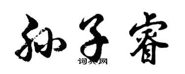 胡问遂孙子睿行书个性签名怎么写