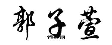 胡问遂郭子萱行书个性签名怎么写