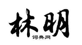 胡问遂林明行书个性签名怎么写