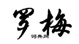 胡问遂罗梅行书个性签名怎么写