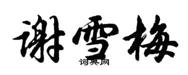 胡问遂谢雪梅行书个性签名怎么写