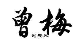 胡问遂曾梅行书个性签名怎么写