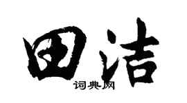 胡问遂田洁行书个性签名怎么写