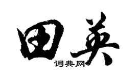 胡问遂田英行书个性签名怎么写