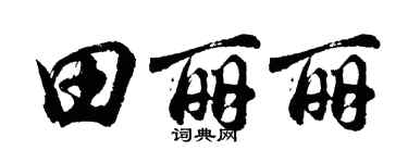 胡问遂田丽丽行书个性签名怎么写