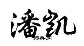 胡问遂潘凯行书个性签名怎么写