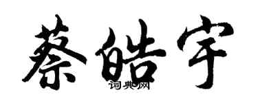 胡问遂蔡皓宇行书个性签名怎么写