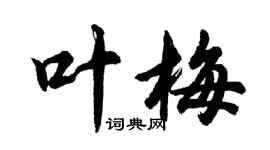 胡问遂叶梅行书个性签名怎么写