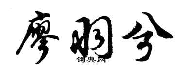 胡问遂廖羽兮行书个性签名怎么写