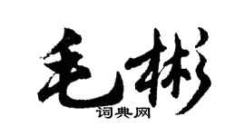 胡问遂毛彬行书个性签名怎么写