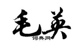 胡问遂毛英行书个性签名怎么写
