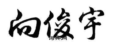 胡问遂向俊宇行书个性签名怎么写